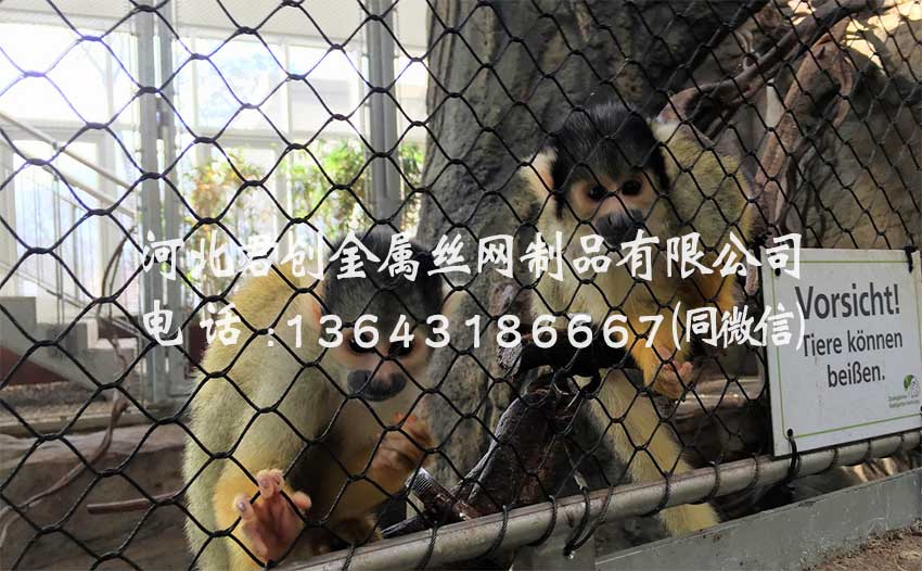 鋼絲繩網(wǎng)